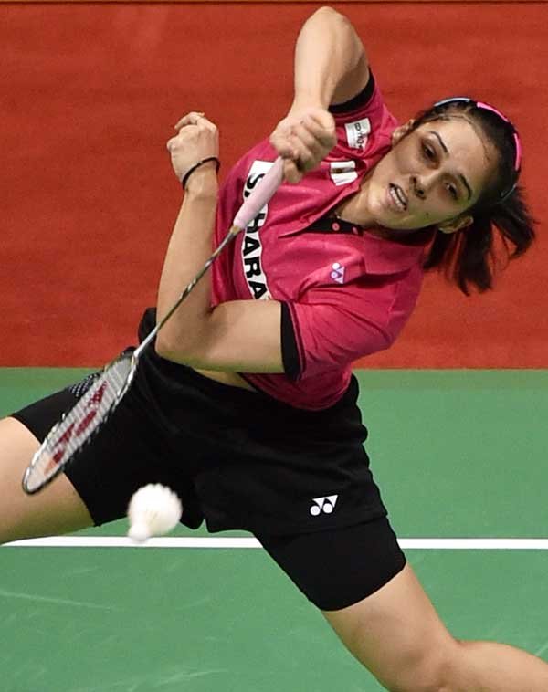 saina-c8