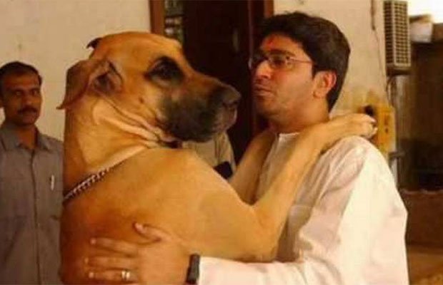 यह है राज ठाकरे का वह वफादार कुत्ना जिसने पत्नी को दिए गहरे जख्म, लगें 65 टाके