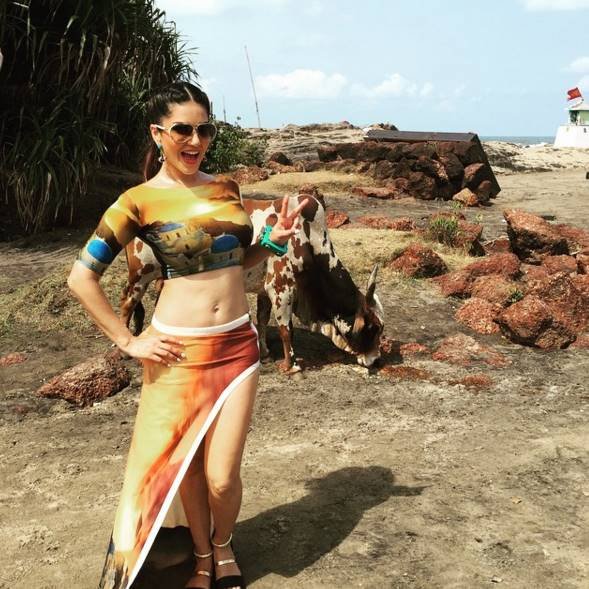 sunny6 Sunny leone, Mastizaade, sunny leone gallery, sunny leone latest pics, sunny leone news