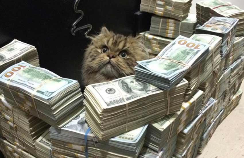 dan-belgerian-2 dan bilzerian, dan bilzerian photos, dan bilzerian instagram, instagram king, bicycle race won, bilzerian, challenge of lifetime