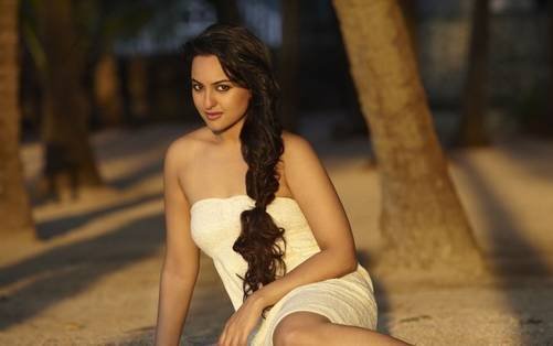 sonaksi birthday Birthday Special, Sonakshi Sinha, Dabbang, Bollywood, Force 2, Akira bollywood entertainment hindi news,