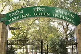 एनजीटी ने कहा, पुराने वाहन हटाने के लिए प्रोत्साहन नीति बनाए केंद्र सरकार