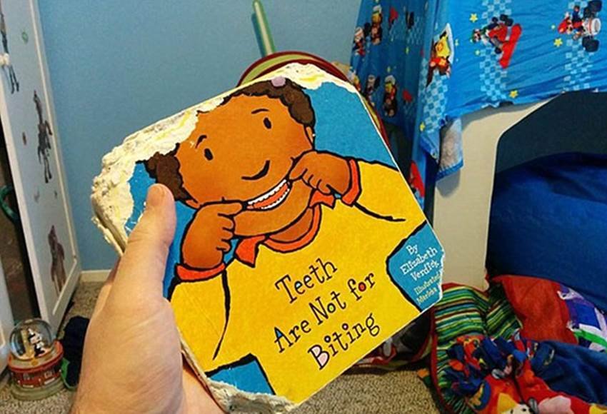 hillarius pics 20 funny pics, funny pictures, Hilarious photos, best funny photos, hillarious pics, laughable pics, laughable photos