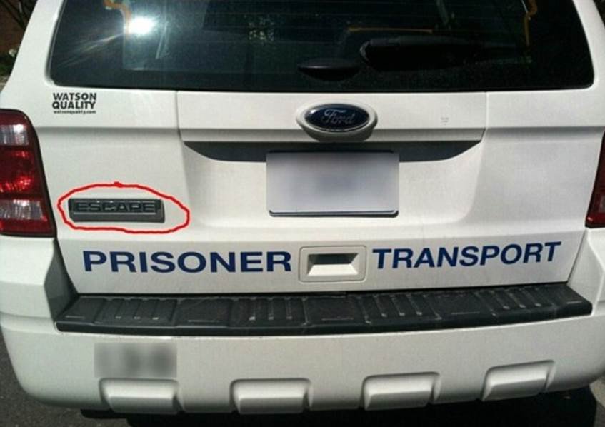 hillarius pics 6 funny pics, funny pictures, Hilarious photos, best funny photos, hillarious pics, laughable pics, laughable photos