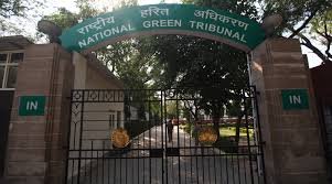दिल्ली सरकार को एनजीटी की फटकार