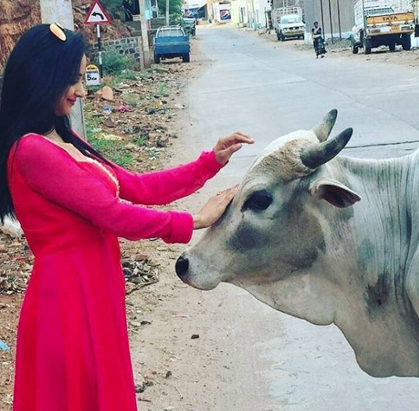 siya-ke-ram-actress-madirakshi-mundle-real-life-photos1 Madirakshi Mundle, Madirakshi Mundle Photos, Madirakshi Mundle real life Photos, Siya ke Ram, Siya ke Ram Actress, Siya ke Ram Actress name, Siya ke ram star cast, Madirakshi Mundle hot photos, tv news, entertainment news, bollywood news
