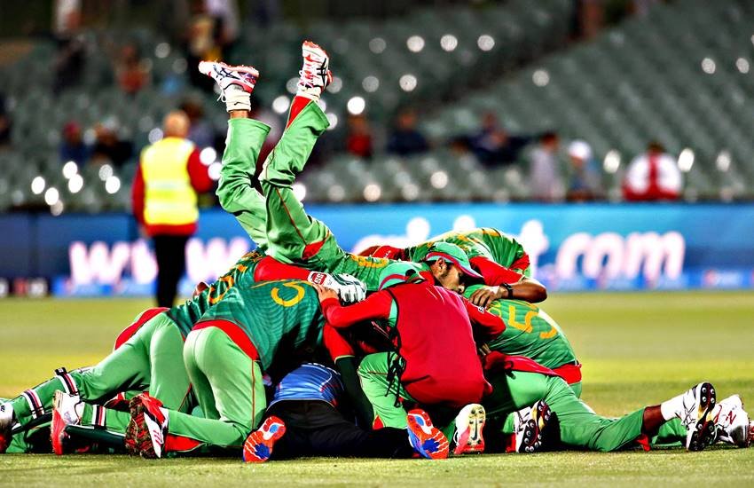cricket-field-celebration