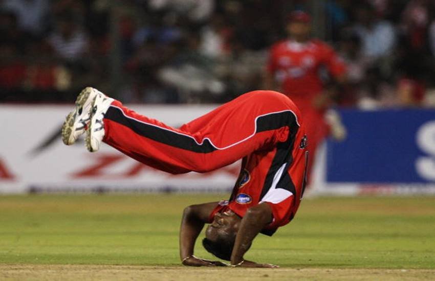 cricket-field-celebration