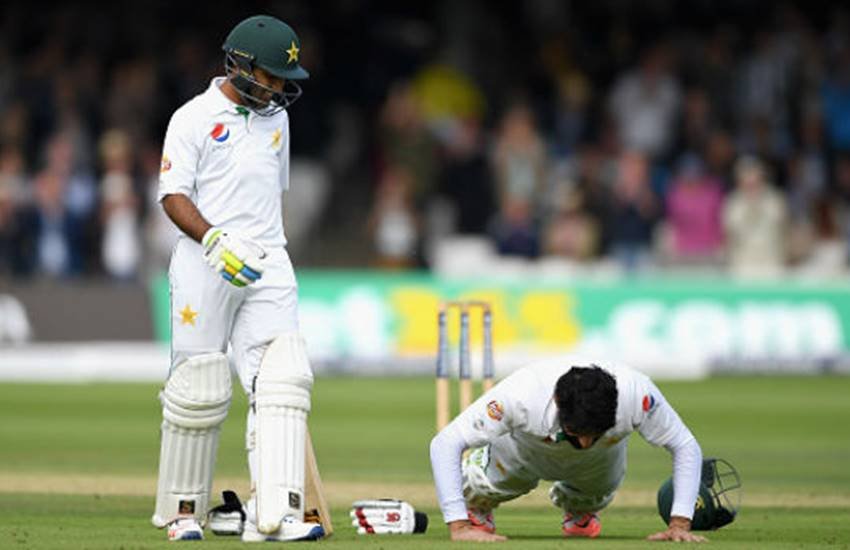 cricket-field-celebration