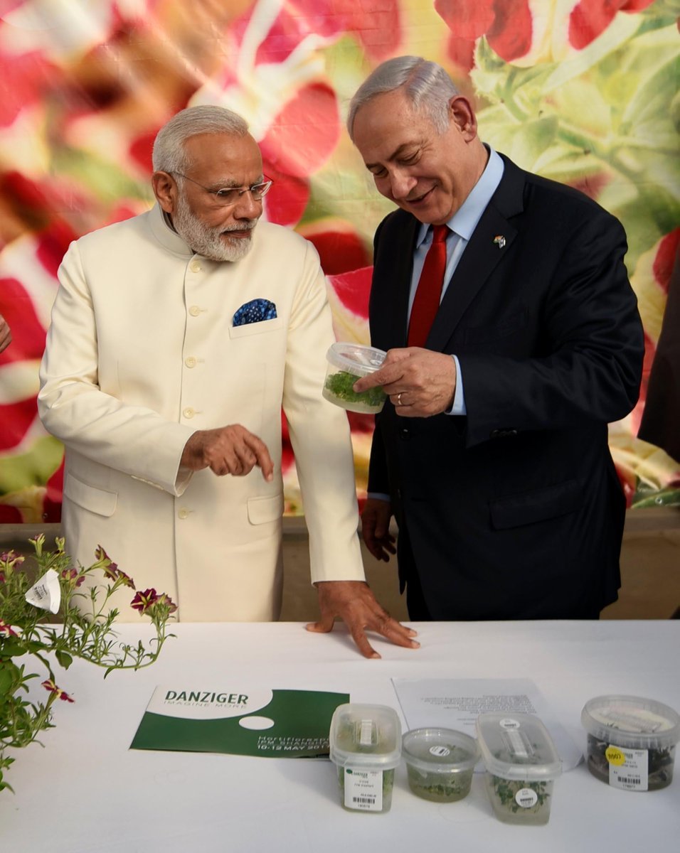 DD5-_L2UIAAdpQJ modi in israel, narendra modi, modi israel visit, modi netanyahu, benjamin netanyahu, india israel, india israel relations, india news