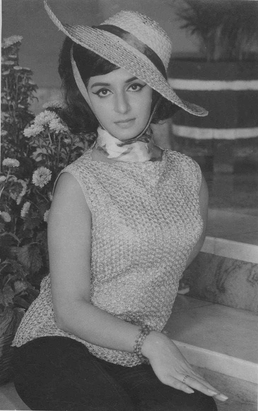 vimi Pazrveen Babi, Mandakini, achla sachdev, raj kiran, AK Hangal