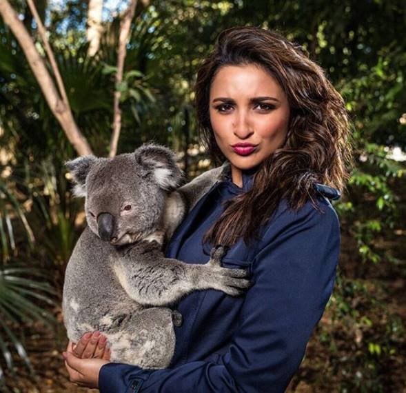 pariniti parineeti chopra golmaal again, parineeti australia, meri pyari bindu, parineeti, parineeti chopra, parineeti chopra holiday photos, parineeti chopra australia, parineeti, parineeti chopra hot photos, parineeti chopra news, parineeti chopra latest photos, parineeti chopra latest news, entertainment photos,