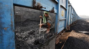 Coal, Insurance, Sachar, Illegal