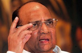 Sharad Pawar NCP Fadanvis Goverment