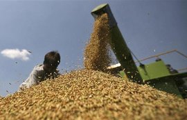 WTO deal India - US