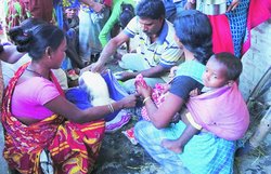 असम हिंसा: मृतकों की संख्या हुई 78, एनआईए करेगी जांच