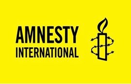 jansatta editorial, amnesty, human rights, ngo, issue in india