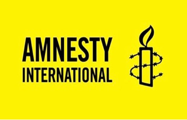 jansatta editorial, amnesty, human rights, ngo, issue in india