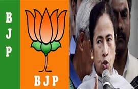 Saradha Scam, Saradha Scam TMC, Saradha Scam BJP
