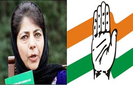 Jammu Kashmir, Jammu Kashmir Polls, Jammu Kashmir Assembly, PDP, Congress