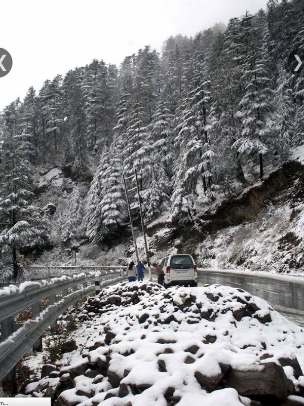 शिमला और उसके निकटतम स्थानों कुफरी, फागु, नालदेहड़ा और नारकंडा में शनिवार (13 दिसंबर) को मौसम की पहली बर्फबारी हुई। (एक्सप्रेस फ़ोटो, ललित कुमार)