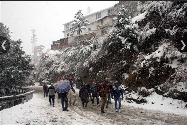शिमला स्थित मौसम विभाग ने पहले ही शनिवार को बर्फबारी का अंदेशा जताया था, जिसके बाद शिमला और उसके आसपास के इलाक़ो में बर्फबारी हुई। (एक्सप्रेस फ़ोटो, ललित कुमार)