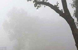 दिल्ली की सर्दी ने तोड़ा रिकॉर्ड, बर्फीली हवाओं से ठिठुरा पूरा उत्‍तर भारत