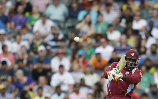 Chris Gayle, Chris Gayle Blast, Chris Gayle News