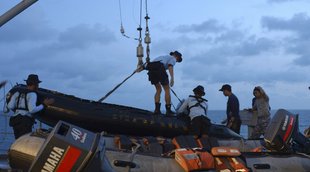 ,Air Asia,Air Asia crash,Missing Air Aisa,Black box of Air Aisa