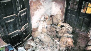 unnao police line, unnao police, human skeleton, body parts, city news, local news, lucknow news