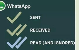 whatsapp, whatsapp web, whatsapp news