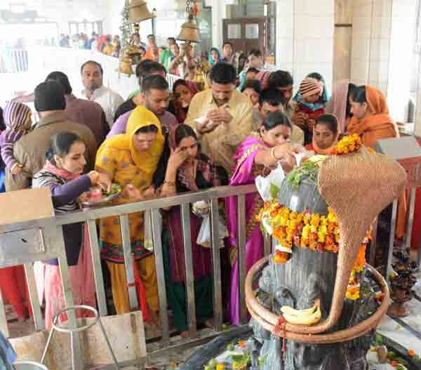 Maha Shivaratri: गुड़गांव में मंगलवार को महाशिवरात्रि के पावन पर्व पर भगवान शिव की उपासना के दौरान शिवलिंग पर दूध अर्पित करते श्रद्धालू। (स्रोत-पीटीआई)