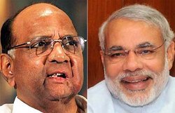 VALENTINE’S DAY SPECIAL: नरेंद्र मोदी के साथ लंच करेंगे शरद पवार
