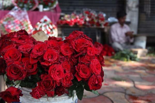 हिन्दू महासभा के अध्यक्ष चन्द्र प्रकाश कौशिक ने शुक्रवार को बताया कि इस ‘वेलेंटाइंस डे’ पर युवाओं को ‘पश्चिमी परम्परा’ को अपनाने से रोकने के लिये एक विस्तृत राष्ट्रीय रणनीति तैयार की गयी है, जिसके तहत सार्वजनिक स्थलों पर प्रेमालिंगन में मशगूल जोड़ों को बाकायदा विवाह करने को कहा जाएगा। (एक्सप्रेस फोटो)