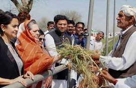 Sonia Gandhi,Haryana,Sonia Gandhi in Haryana,crop damage,Bhiwani,Haryana government,Jagadish Khattar,Bhupinder Singh Hooda,Kumari Selja
