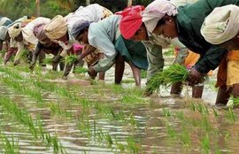 Land Bill, mann ki baat, Narendra Modi, Kisan, Mann ki baat Modi, Narendra Modi, speaking on the radio