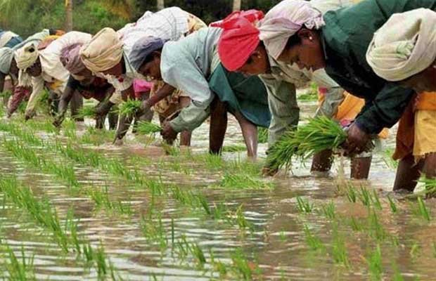 Land Bill, mann ki baat, Narendra Modi, Kisan, Mann ki baat Modi, Narendra Modi, speaking on the radio