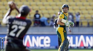 live cricket score, live score, sa vs uae live score, live south africa vs uae, sa vs uae score, sa vs uae live, live cricket sa vs uae, south africa uae live, south africa uae, uae south africa, world cup 2015, cricket news