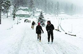 rain, cloud, drizzele, Weather Report, Shimla, Himachal Pradesh