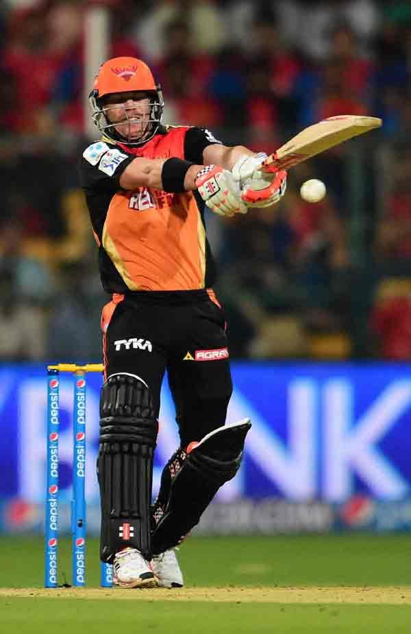 David Warner, Shikhar Dhawan, SRH vs RCB, RCB vs SRH, IPLT20, IPL 8, IPL 2015, IPL Live