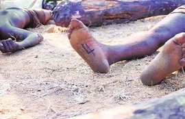 Andhra Police, red sanders smugglers, seshachalam forests, nhrc, smugglers encounter, labourers killed, nation news, india news
