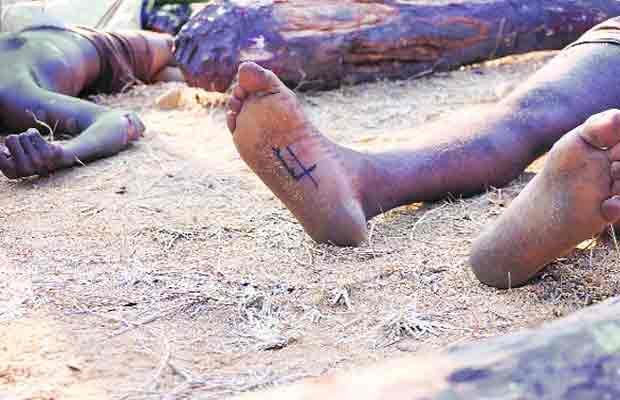 Andhra Police, red sanders smugglers, seshachalam forests, nhrc, smugglers encounter, labourers killed, nation news, india news