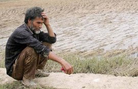 OP Dhankar, Haryana Agriculture Ministe, Farmers Suicide, OP Dhankar Statement, Haryana News