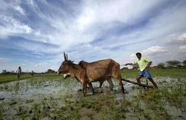 Rahul Gandhi, land acquisition bill, Narendra Modi