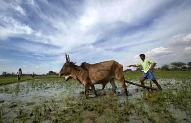 Rahul Gandhi, land acquisition bill, Narendra Modi