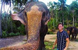 elephant selfie, elphie, elphie photo, viral photo, elephant viral photo, elephant viral selfie, viral elphie, christian leblanc, thailand, viral selfie