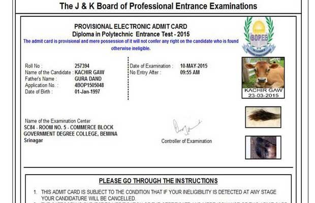 जम्मू कश्मीर, गाय ऐडमिट कार्ड, गाय, ऐडमिट कार्ड, गाय को ऐडमिट कार्ड, cow admit card, jk cow admit card, jk admit card, jk professional exam, jk professional entrance examination, omar abdullah, junaid azim mattu, jk news, india news