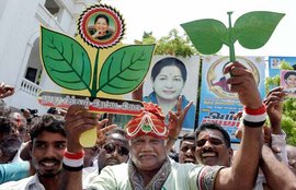 जे जयललिता, जे जयललिता उपचुनाव, तमिलनाडु जे जयललिता, J Jayalalitha, Jayalalitha Won Bypoll, Jayalalitha Beat BJP, Jayalalitha Tamil Nadu Bypoll, Jayalalitha News