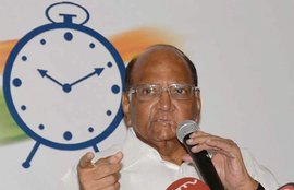नरेंद्र मोदी, शरद पवार, मोदी सरकार, मोदी की खबरें, मोदी, Narendra Modi, Sharad Pawar, Modi Government, Politics