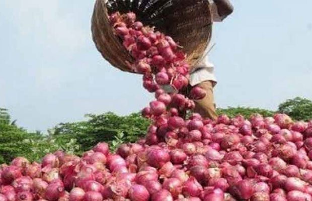 प्याज, प्याज की कीमत, Onions, Onion Price, Business News